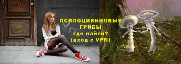 амф Аркадак